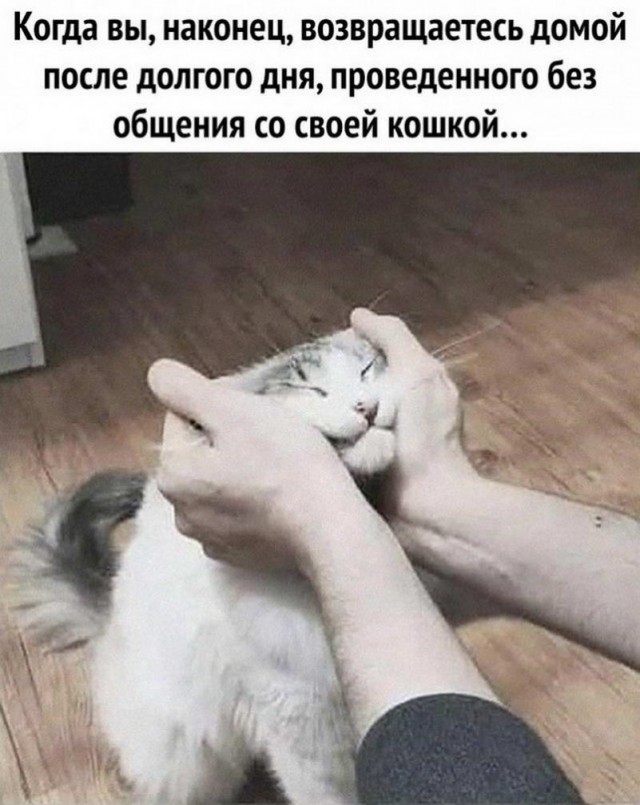 Картинки и мемы, всем хороших выходных