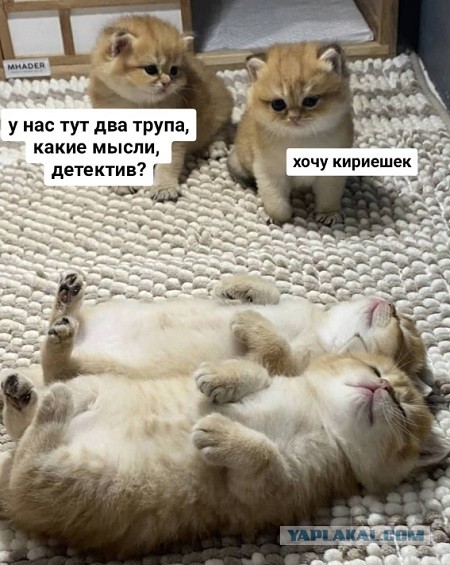 Испортились отношения с мужем после аборта