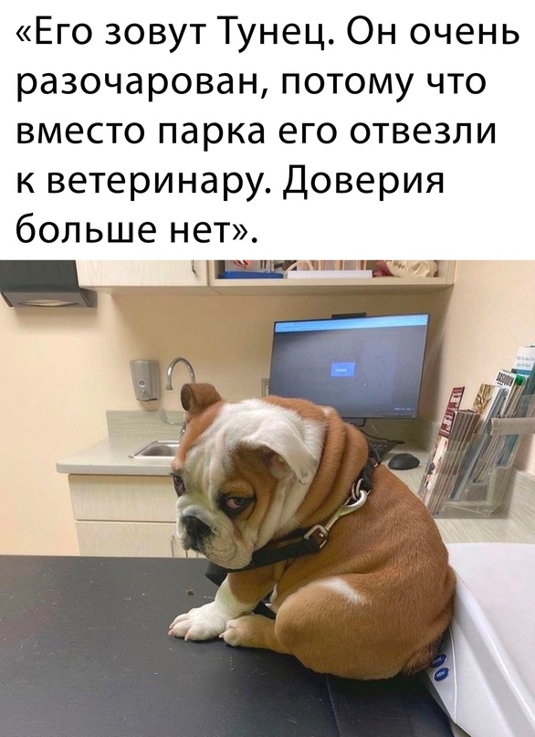 Немного картинок для настроения - 139