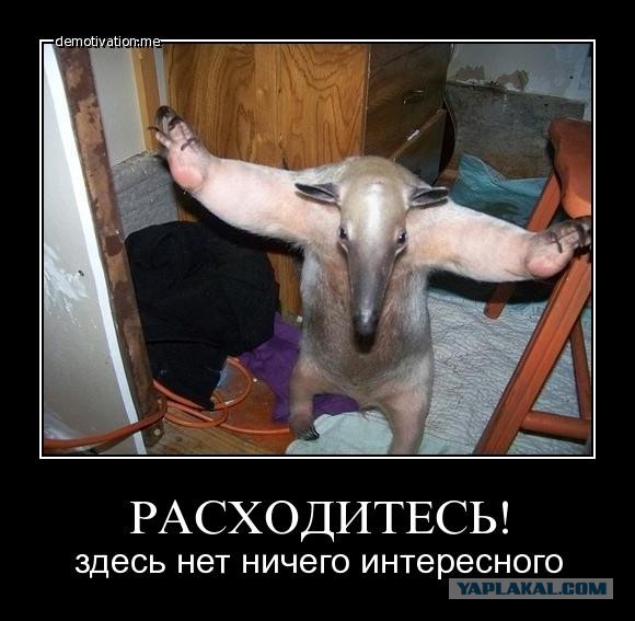 Монеточка поставила россиян перед выбором – либо она, либо Путин