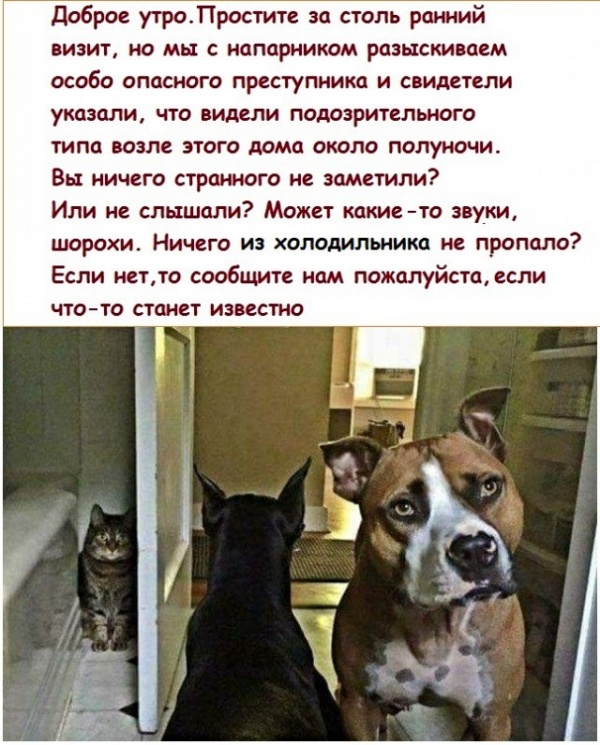 Картинки и мемы, всяко разно - 175