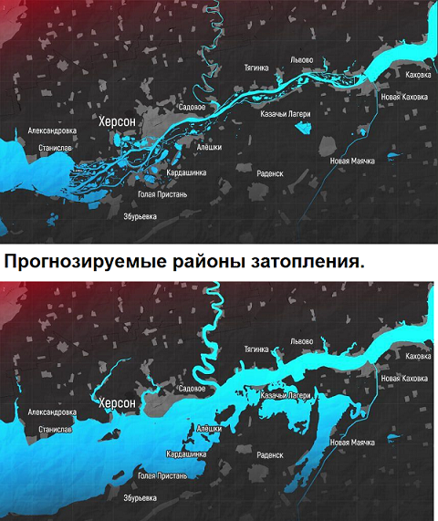 В Херсон начала прибывать вода и на улицы города вышли бобры.