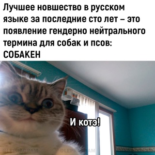 Картинки и мемы, всяко разно - 185