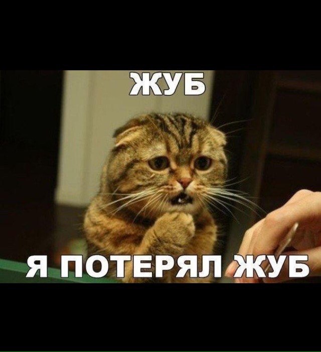 Когда ты бодр и игрив, но поймал приход кризиса среднего возраста
