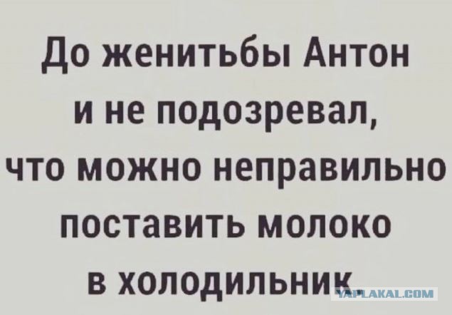 Улыбательные картинки...