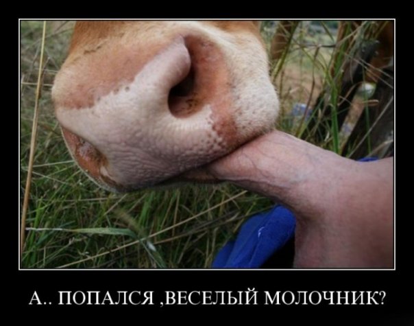 Приколы и мемы с налетом 2000-х