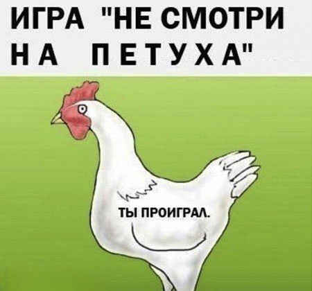 Так себе картинки 15.07.24
