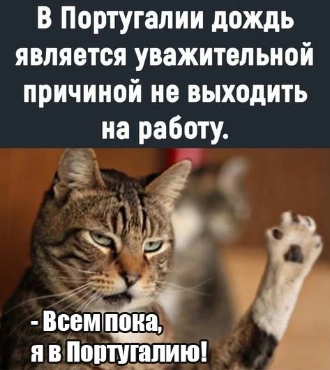 Так себе картинки 19.09.24