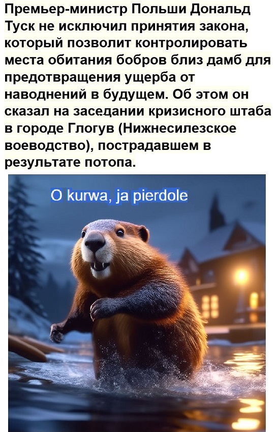 Картинки разные с надписями и без