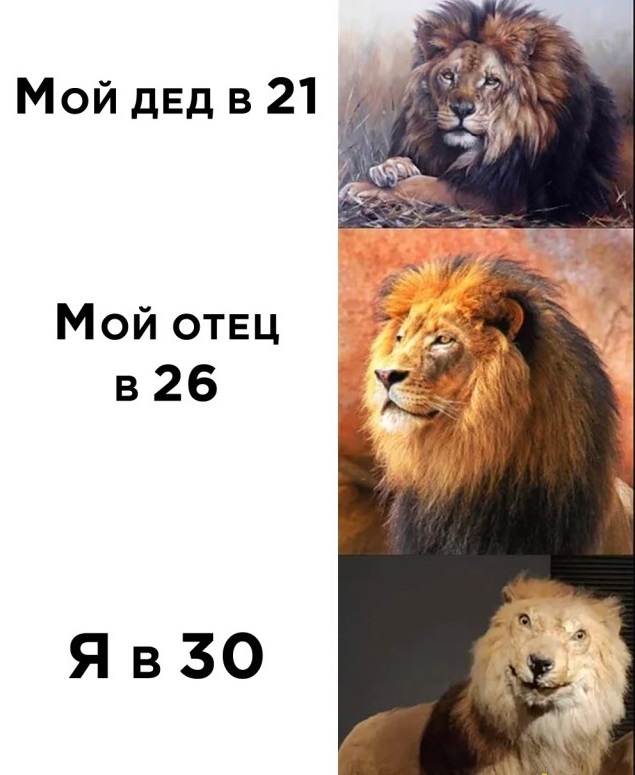 Завалялось тут случайно немного забавных картинок