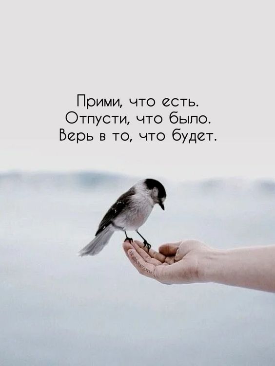 Прикольные и просто красивые картинки 10.01.2025