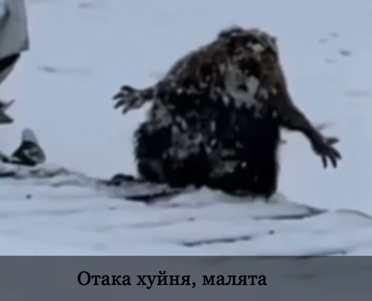 Требуется пояснительная бригада