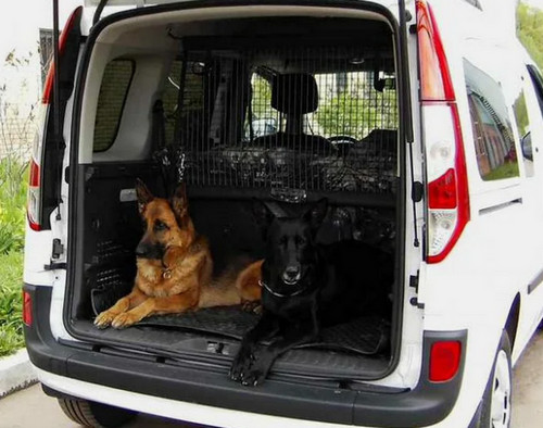 Пассажира не пустили в метро с большой собакой в наморднике и на поводке