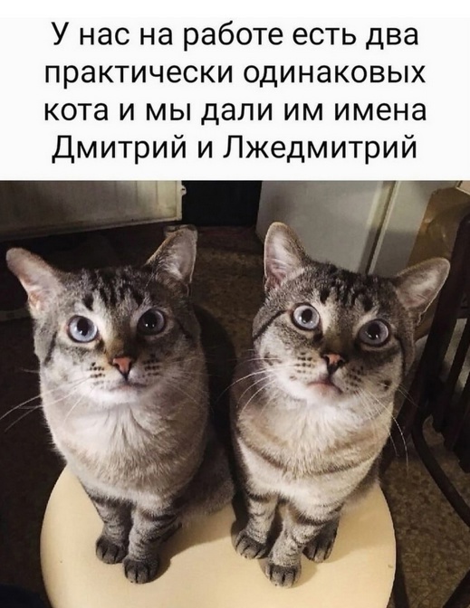 Так себе картинки 17.03.25