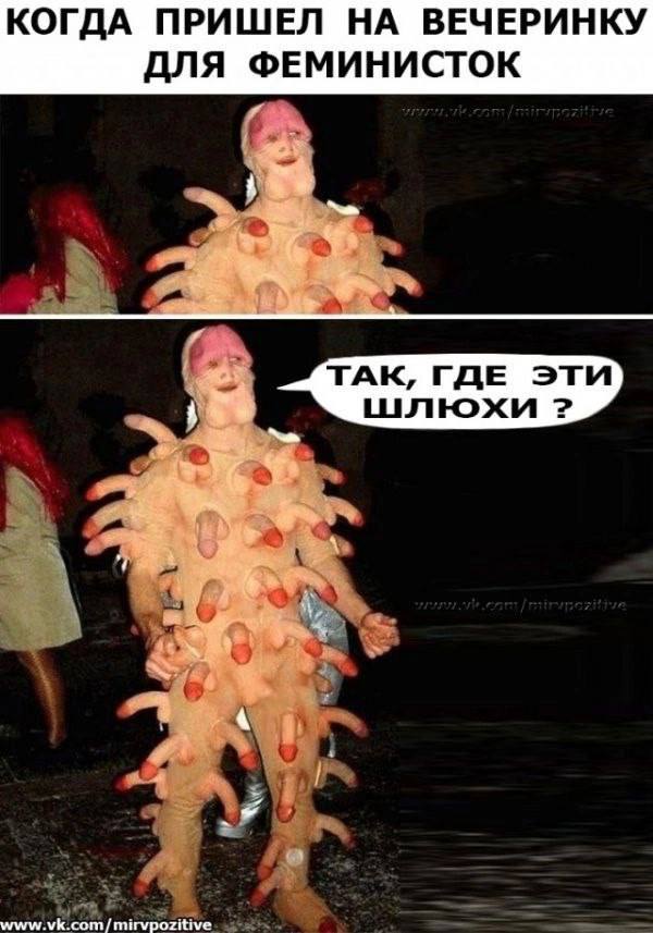 Так себе картинки 16.08.25