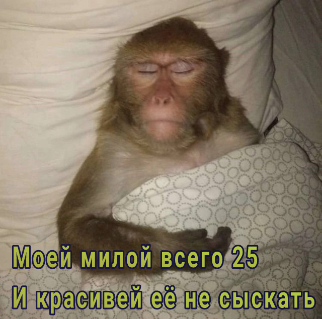 Ассорти картинок