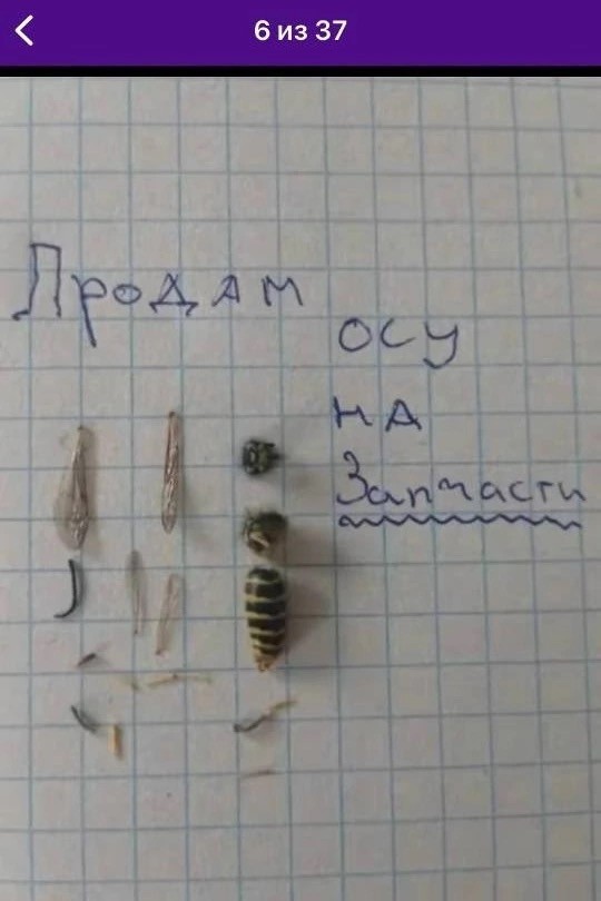 Воскресные картинки