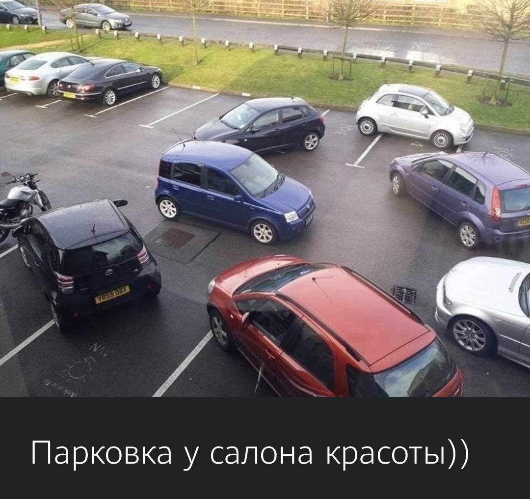 20805539.jpg