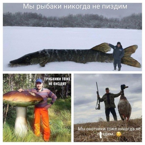 Рыбаки
