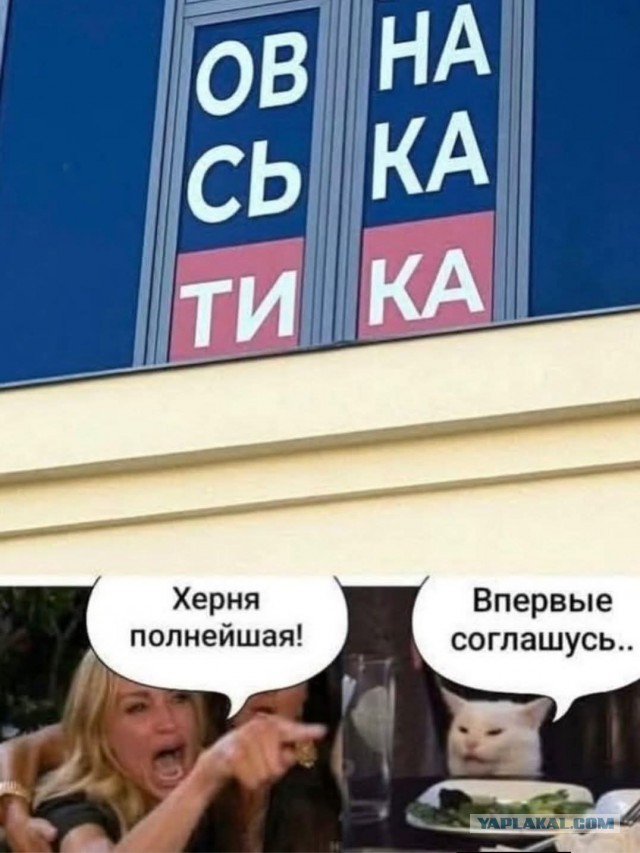 Картинки для деградации 207 (разной степени свежести)