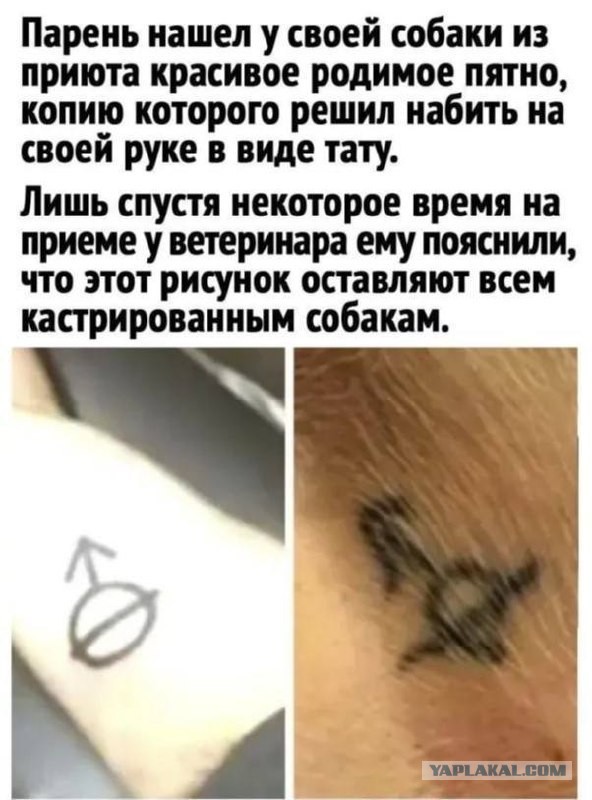 Картинки для деградации 226 (разной степени свежести)