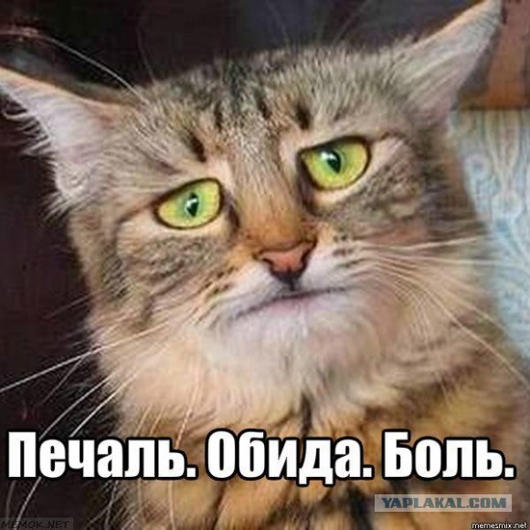 А чой-ли нам не обняться?