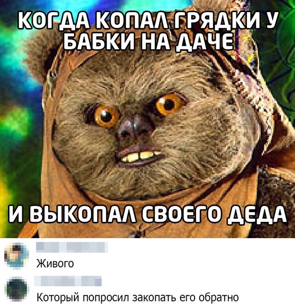 Картинки для деградации 288 (разной степени свежести)