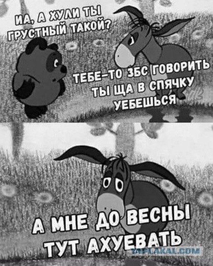 Скиньте рандомную хрень