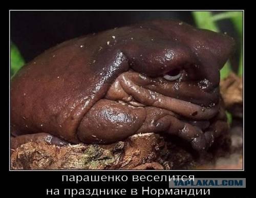 В.В.Путин Меркель о Порошенко