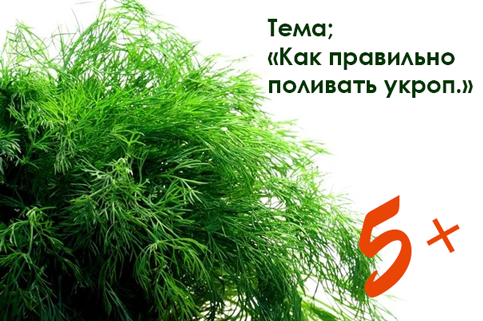 Путин, уходи