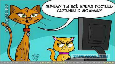 Персики? Хрен тебе, а не персики!