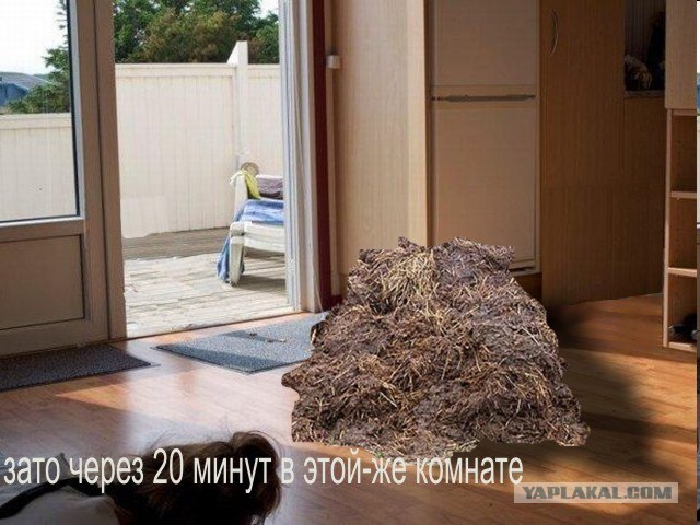 Чайку ждет нежданчик!