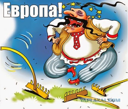 Печеньки в Киеве