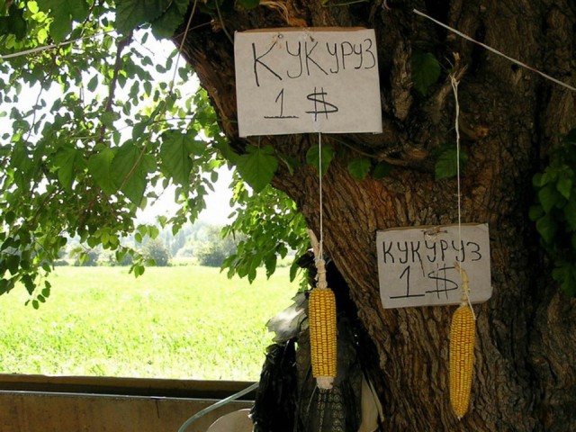 Что в настоящее время можно купить за 1$