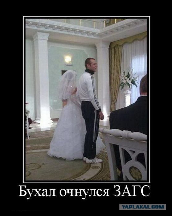 Веселые картинки