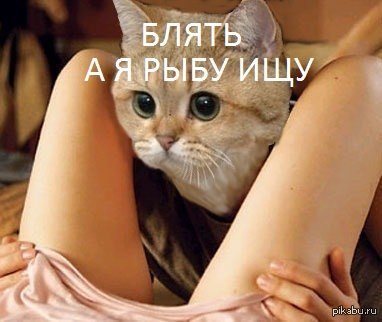 Девушки на рыбалке