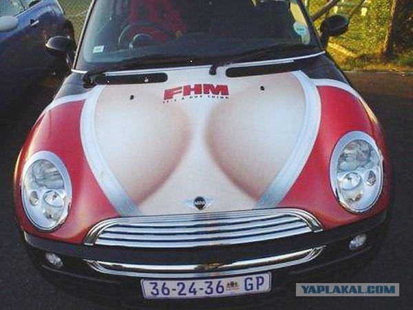 Приколы из сети