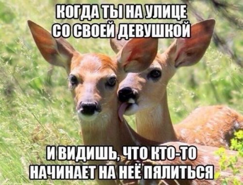 Приколы из сети