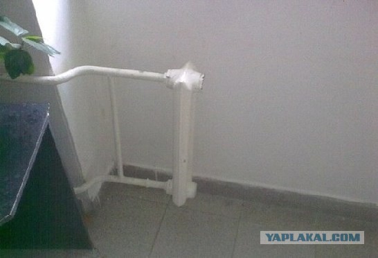 Прикольные картиночки