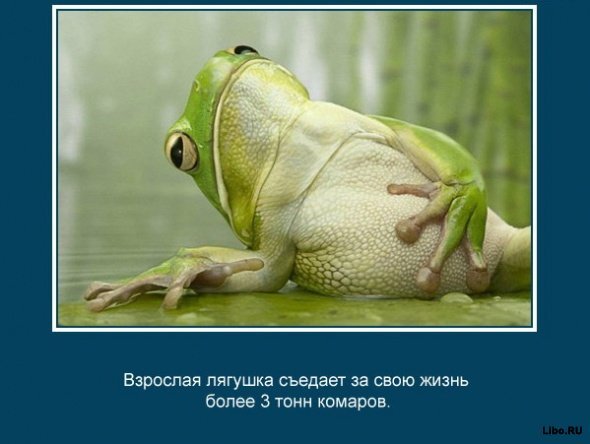 25 интересных фактов.