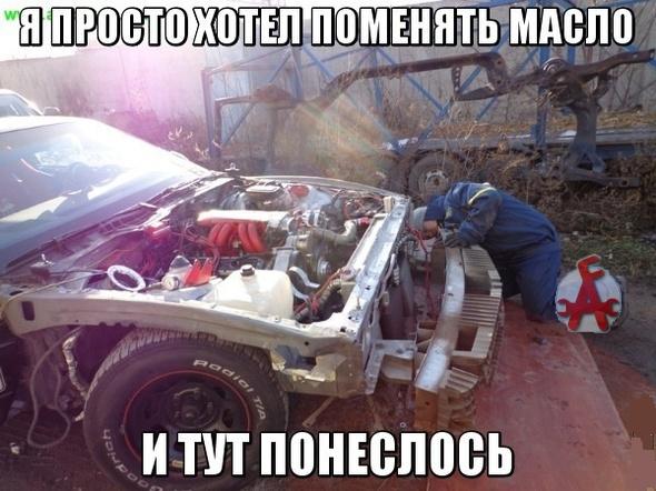 Прикольные картинки