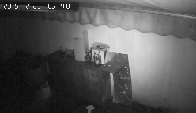 За что я люблю китайцев