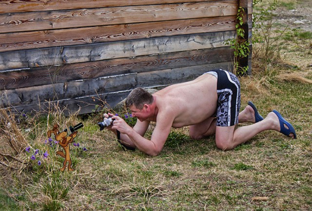 Жаба: Фотолюбитель