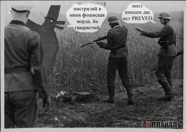 Превед медвед!