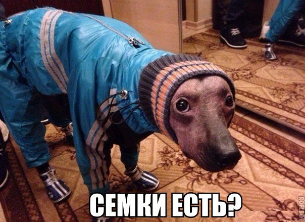 Подборка картинок из сети