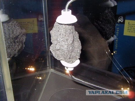 Где высаживался Армстронг?