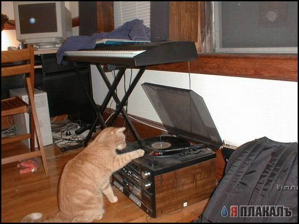 Которозыск, срочно!
