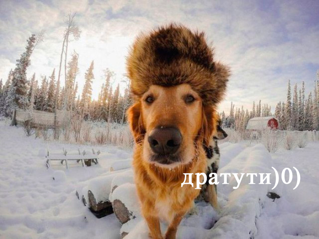 Подборка картинок