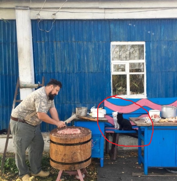 Чарвили кабоб