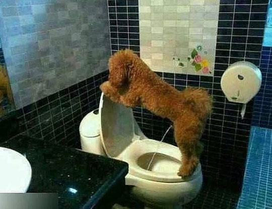 Странные кадры